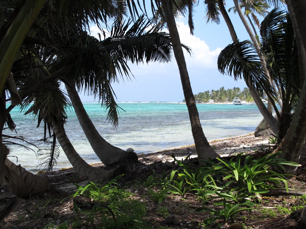 IMG_0266 (1) IMG_0266 (1)